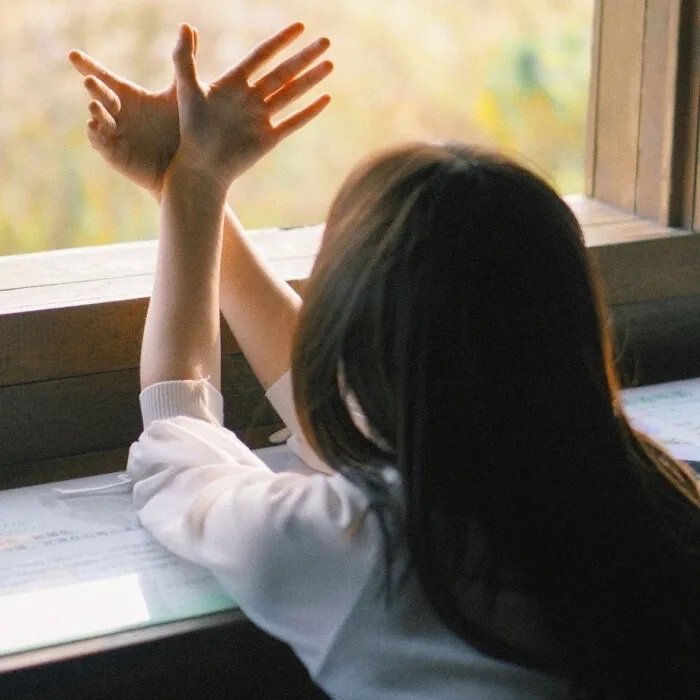 我盛大的希腊婚礼2